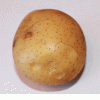 Опт картошка Брест