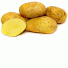 Картофель ранний продажа Брест
