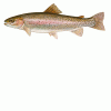 Рыбоводство в беларуси