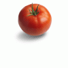 Купить томаты Торреро оптом в Беларуси