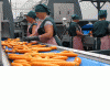 Купить морковь  оптом от производителя Брест