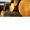Производим и продаем сухие дрова дуб, граб, ясень