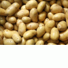 Продажа семенного картофеля Брест